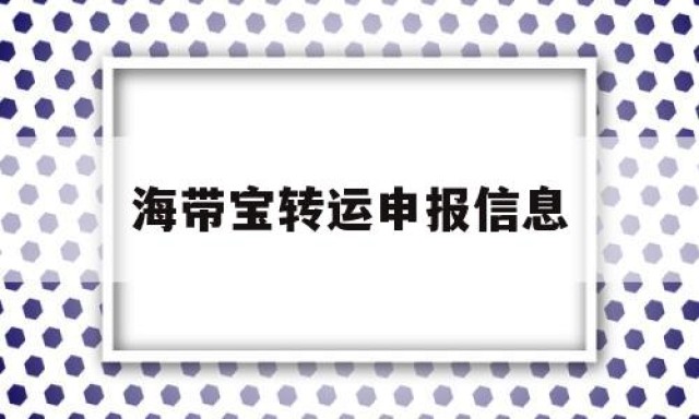 海带宝转运申报信息