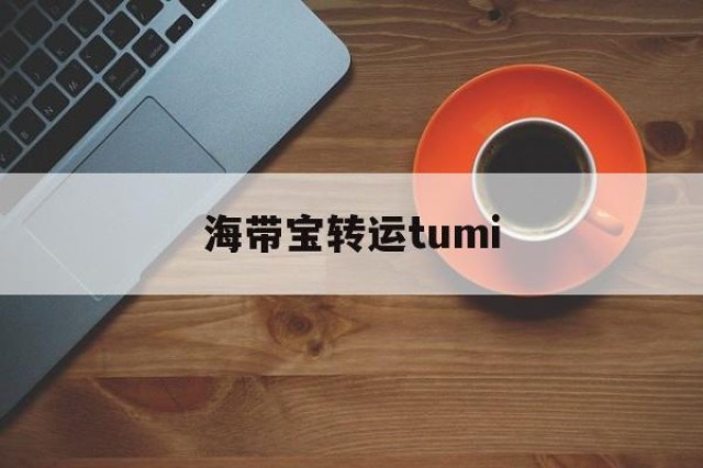 海带宝转运tumi