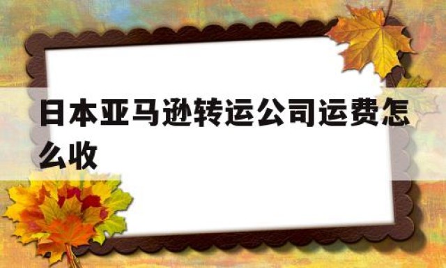 日本亚马逊转运公司运费怎么收