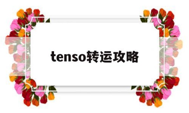 tenso转运攻略