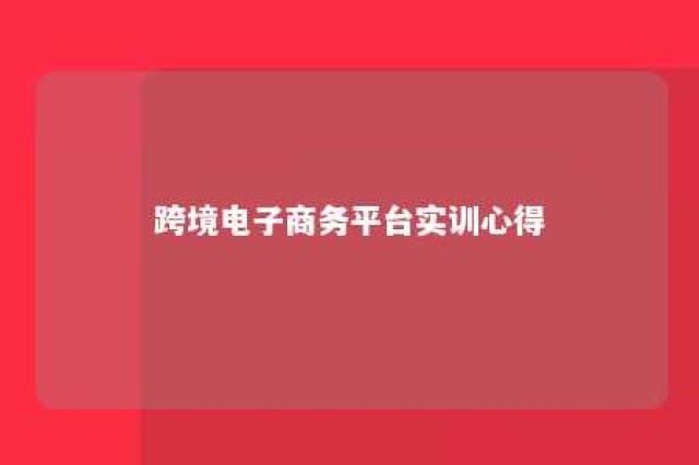 跨境电子商务平台实训心得 跨境电子商务平台操作实训总结