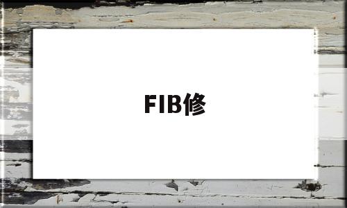 FIB修